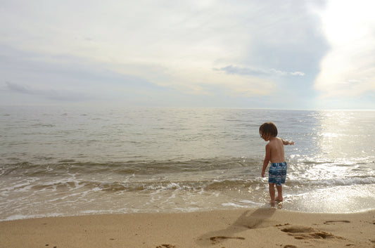 Where The Ocean Meets The Sandy Shore