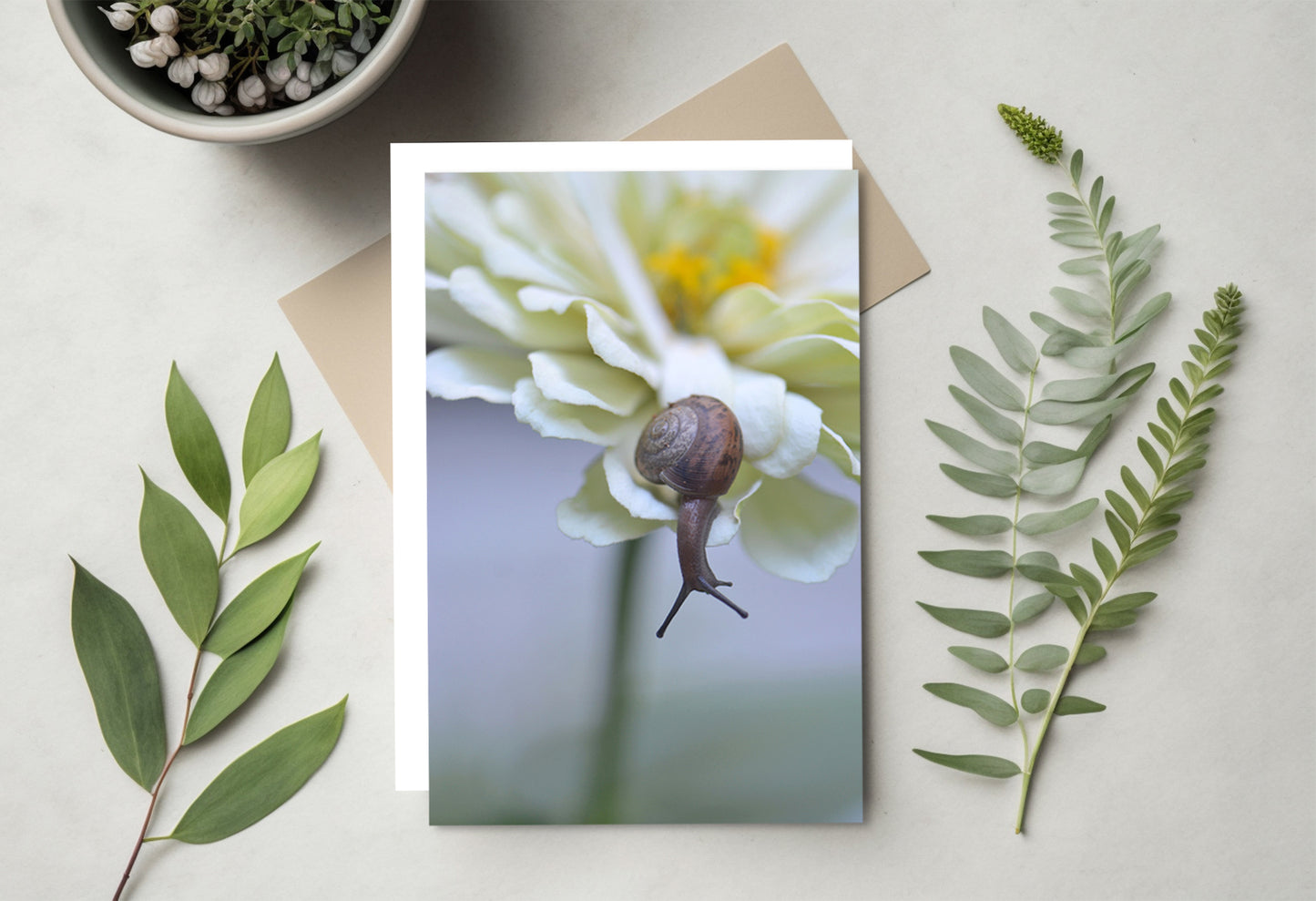 Blank Card-Crawling Along the Garden