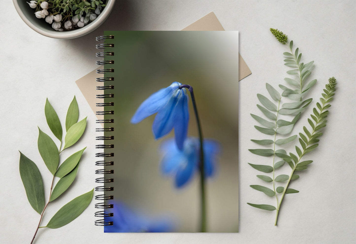 Journal-Little Dainty Blues