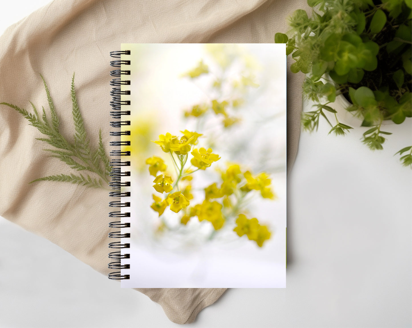 Journal-Sunshine flowers