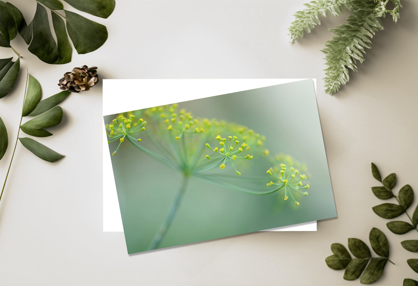 Blank Card-Sunshine in the Garden