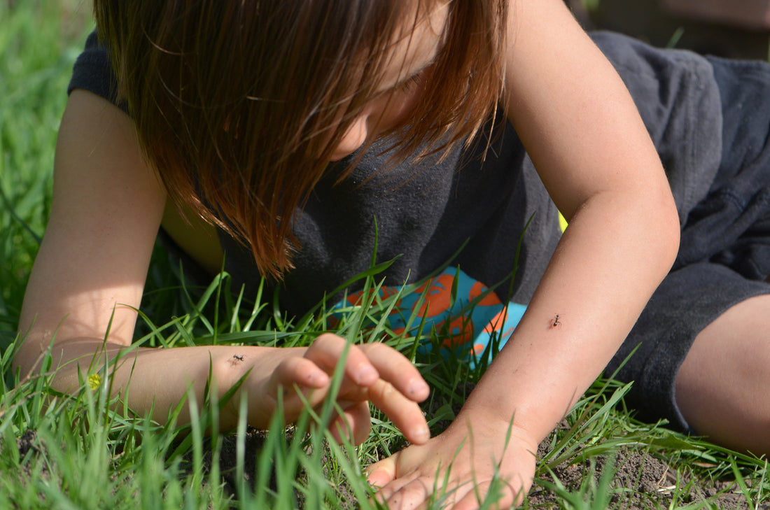 Our Sense Of Wonder