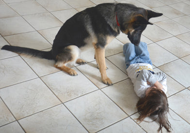Little Boy and His Dog