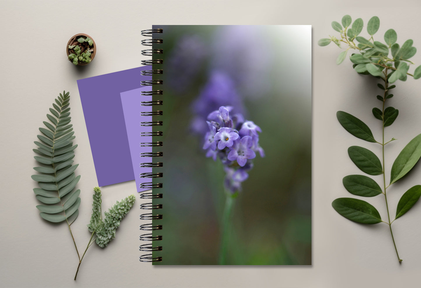 Journal-A Little Spot of Purple